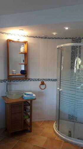 耶尔villa le grilladou的带淋浴、盥洗盆和镜子的浴室