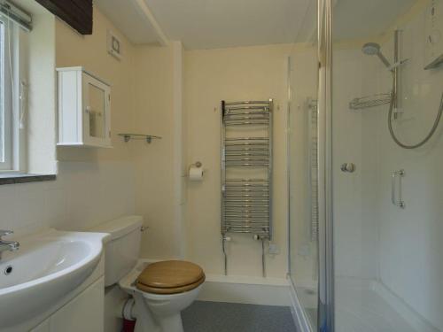 博德明The Old Engine House的浴室配有卫生间、淋浴和盥洗盆。