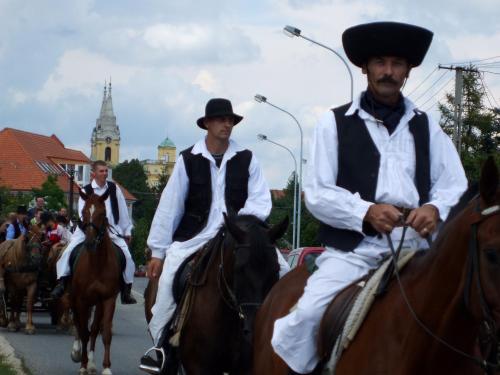 齐尔茨瑞兹卡克斯弗加铎旅馆的一群骑马的人在街上骑着马