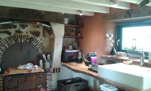 Seigyla vigneraie的厨房配有水槽和石炉