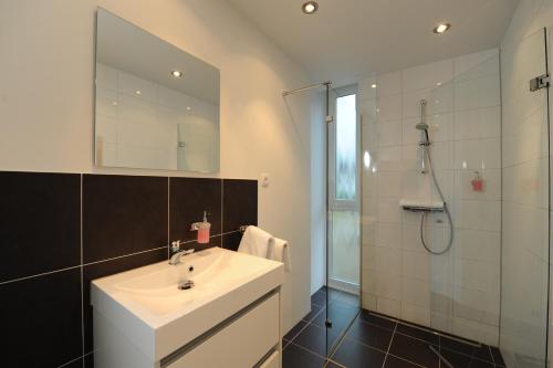 杜塞尔多夫空中瓦尔特堡酒店的浴室配有白色水槽和淋浴。