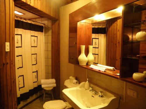 特木科Hostal Mackay Temuco的一间带水槽、卫生间和镜子的浴室