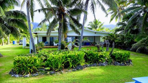 拉罗汤加苍鹭礁度假公寓的庭院前有棕榈树的房子