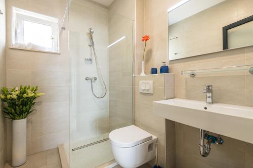 察夫塔特Residence Delta的带淋浴、卫生间和盥洗盆的浴室