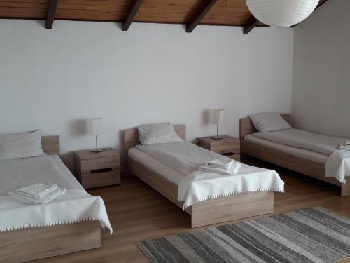 Zakroczym奥萨莫德林机场乡村民宿的一间卧室设有两张床和两个床头柜