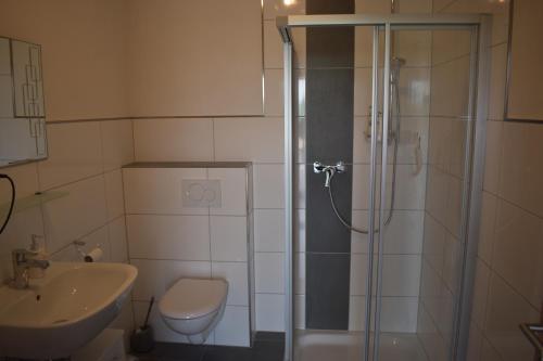 维利希Ferienwohnung Kerstenhof的带淋浴、卫生间和盥洗盆的浴室