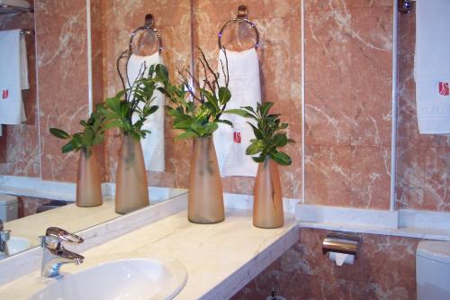 圣基里科-德贝索拉桑特基尔塞德韦索拉酒店的浴室里一个柜台上三个花瓶,上面有植物