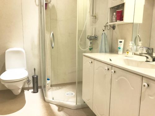 巴里斯川Villa Holmen的带淋浴、卫生间和盥洗盆的浴室
