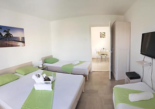 斯塔多伊兰Apartments Villa Naumovi的酒店客房设有两张床和电视。