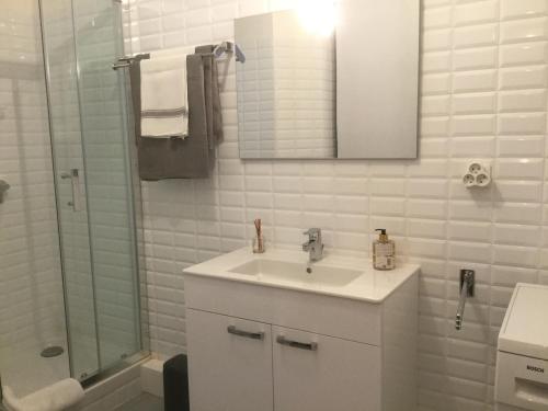 马赛10 rue Chevalier Roze的白色的浴室设有水槽和淋浴。
