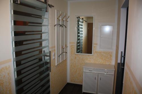 埃伦弗里德斯多夫FEWO Loos的一间带冰箱、水槽和镜子的浴室