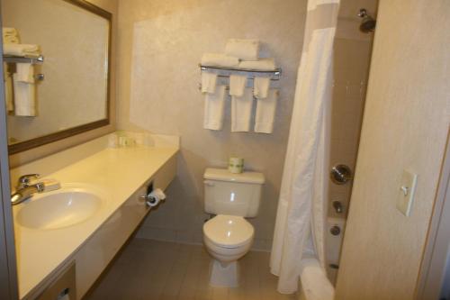 巴德湖巴德湖假日酒店&度假村 - 洛克威地区的一间带卫生间、水槽和镜子的浴室