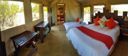 KlipdriftOuKlip Game Lodge的一间帐篷内带两张床的卧室