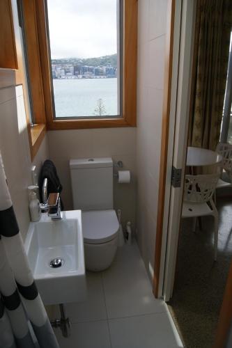 惠灵顿Oriental Bay At Its Best的一间带卫生间、水槽和窗户的浴室