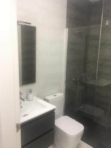弗拉门卡海滩Boulevard La Zenia Villa的浴室配有卫生间、盥洗盆和淋浴。