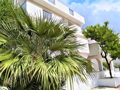 诺瓦利娅Villa Gaj的一座白色的建筑,前面有棕榈树