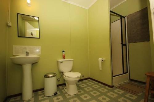 蓬塔阿雷纳斯Residencial Tres Hermanos的一间带卫生间和水槽的浴室