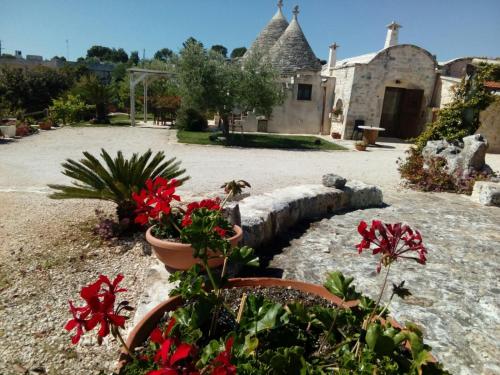 马丁纳弗兰卡Trulli La collinetta的一座种满红色花卉的花园及一座建筑
