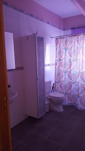 蒂哈拉费Casa Hortensia1的一间带卫生间和淋浴帘的浴室
