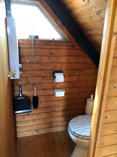 拉斯特Pfahlbau Rust Robinsonhütte的木墙浴室设有卫生间