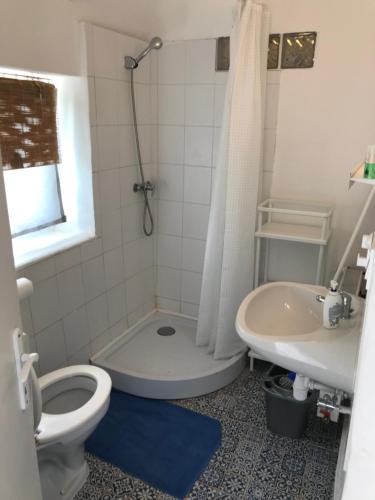 KővágóörsGólyásház apartman的浴室配有卫生间、盥洗盆和淋浴。