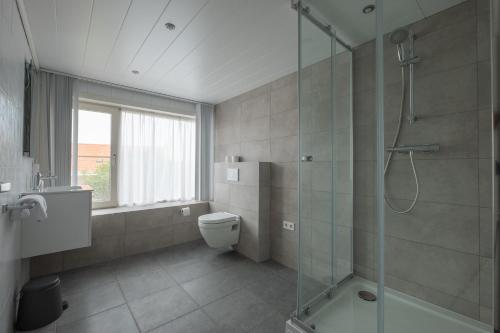 韦斯特卡佩勒B&B Binisa的一间带卫生间和玻璃淋浴间的浴室