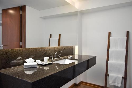 圣伊西德罗圣伊西德罗广场酒店的一间带水槽和镜子的浴室