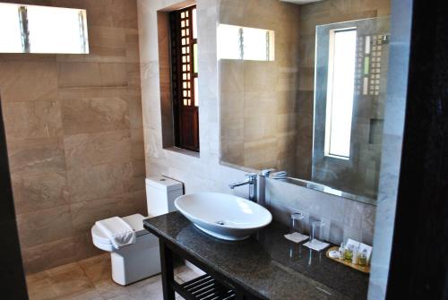 马比尼Altamare Dive and Leisure Resort Anilao的一间带水槽和镜子的浴室