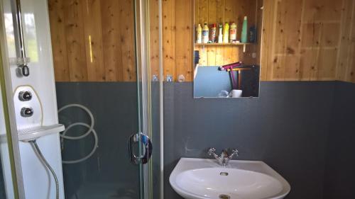 比尔克兰Skogheim Two-Bedroom Cottage的一间带水槽和淋浴的浴室