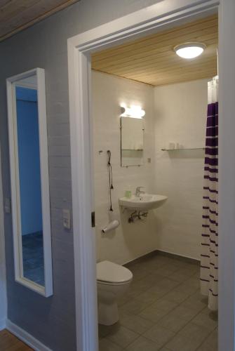 NæsbjergAgervig Bed & Breakfast的一间带卫生间和水槽的浴室