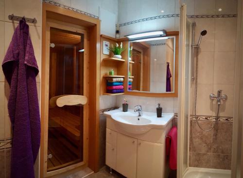 克拉尼斯卡戈拉Apartma BaLe的一间带水槽和淋浴的浴室