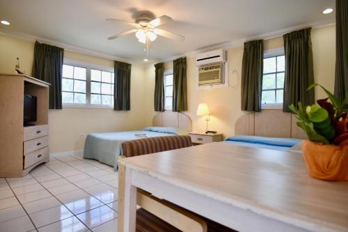 Kemps Bay南森旅舍的一间卧室设有一张床和一间客厅。