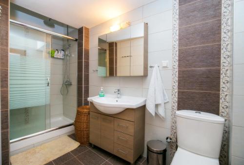 斯卡拉卡里拉奇斯Kallisti Apartment的浴室配有卫生间、盥洗盆和淋浴。
