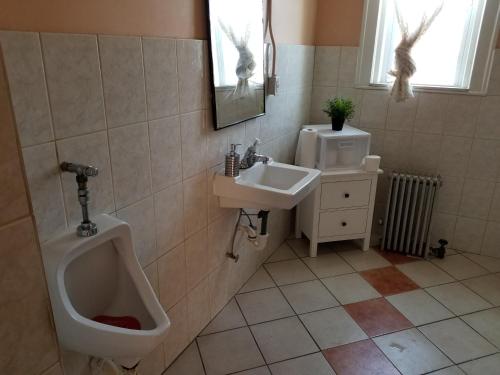 底特律Hamtramck Hostel的一间带小便器和盥洗盆的浴室