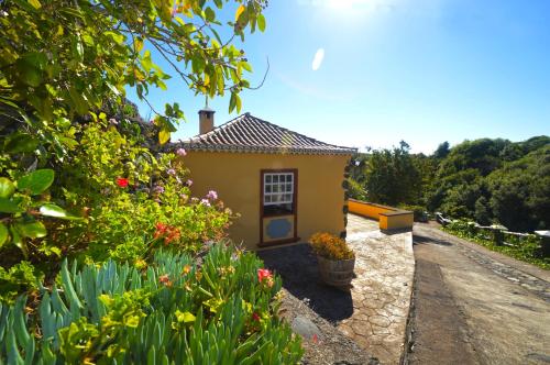 蓬塔利亚纳Emiliana的花园中一座种满鲜花的小黄色房子