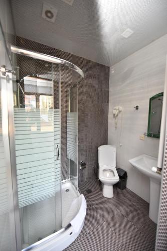 巴统Hotel Phaliashvili的带淋浴、卫生间和盥洗盆的浴室