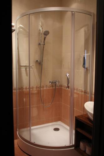 圣彼得堡邦邦切公寓的浴室里设有玻璃门淋浴