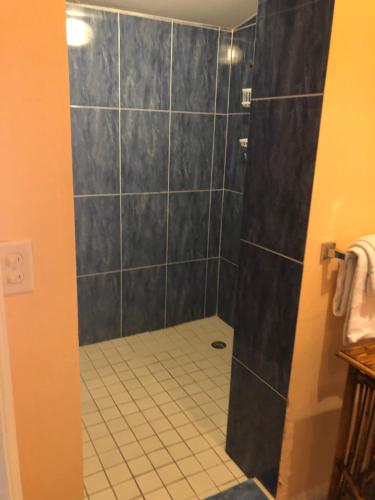 劳德代尔堡Calypso Inn Wilton Gay Male Resort的带淋浴的浴室,铺有瓷砖地板。