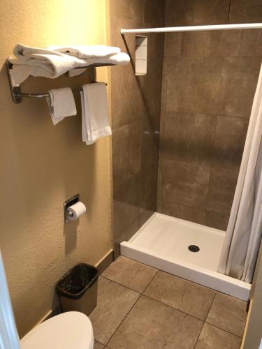 里弗赛德阿灵顿酒店的带淋浴和卫生间的浴室