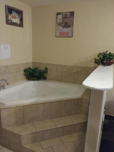 新布朗费尔斯Garden Inn & Suites New Braunfels的带浴缸的浴室,配有两盆植物