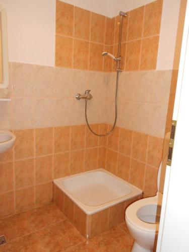 奥拉迪亚Hostel Lan的带淋浴和卫生间的浴室