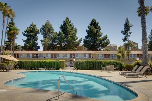 圣克拉拉Rodeway Inn的棕榈树酒店前的游泳池