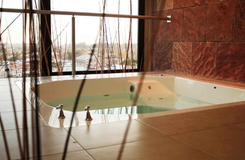 戈亚戈雅康达赌场酒店的带浴缸的大窗户