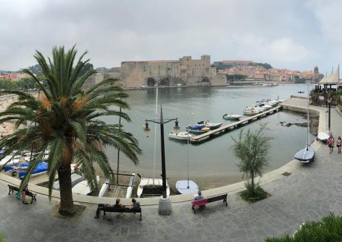 科利尤尔Résidence Collioure Plage的享有海港和水中船只的景色