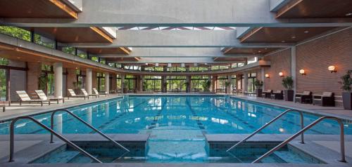 奥克布鲁克Hyatt Lodge Oak Brook Chicago的一座大型游泳池,位于一座带窗户的建筑内