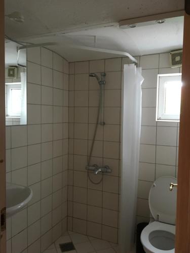 FarsøMargretelyst的带淋浴和卫生间的浴室