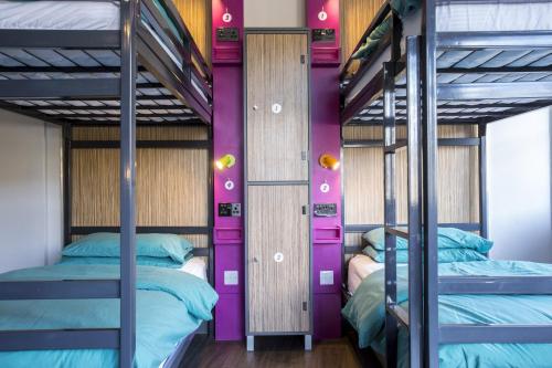 爱丁堡Kick Ass Grassmarket (18+)的宿舍间内的两张双层床,设有紫色墙壁