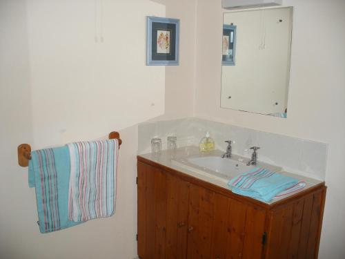 杜林Doolin Cottage Accommodation的一间带水槽和镜子的浴室