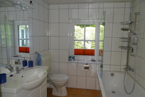 奥尔斯贝格Ferienwohnung "kleine Auszeit"的浴室配有卫生间、盥洗盆和淋浴。