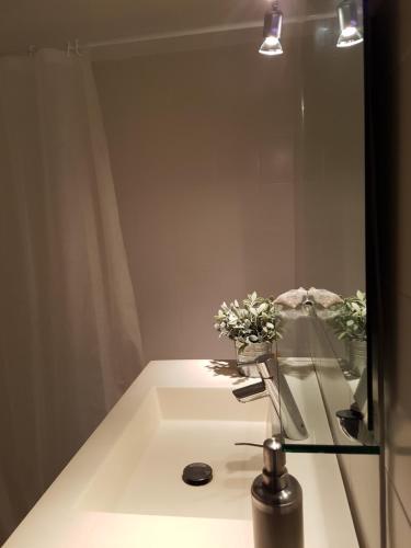 科莱拉CostaBrava Colera Apartament的浴室设有镜子内鲜花水槽